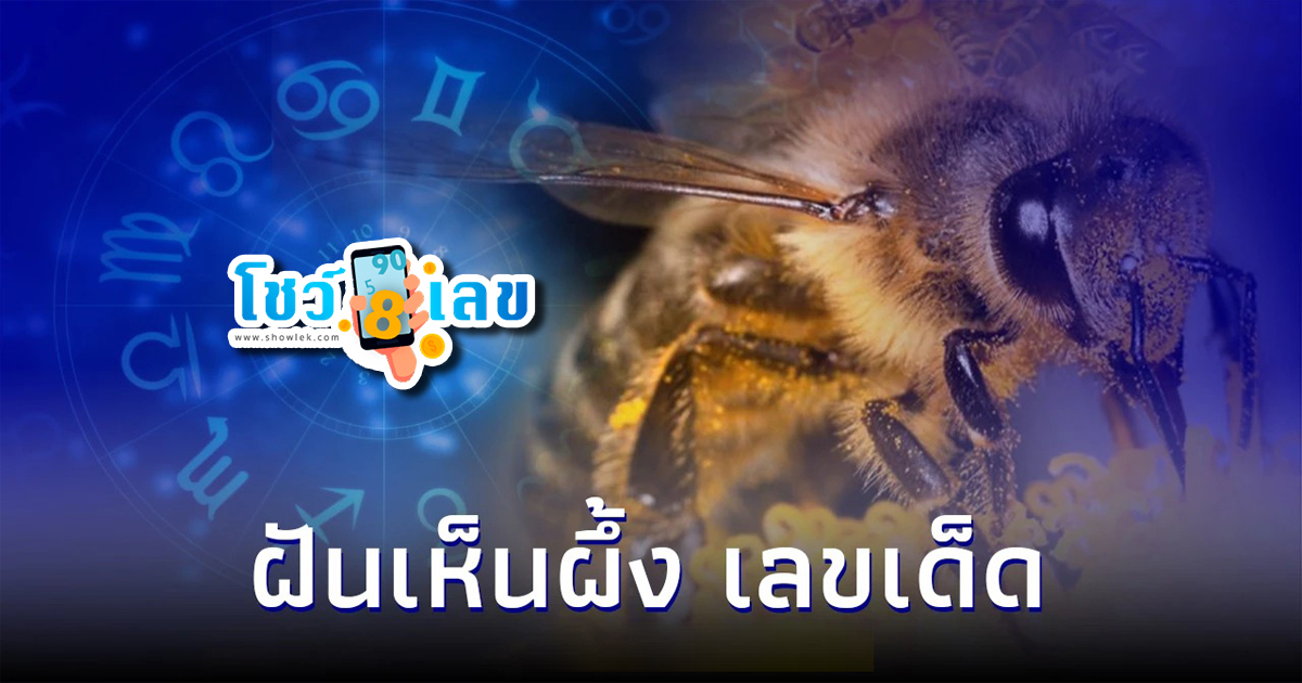 ฝันเห็น ผึ้ง ลางบอกเหตุคืออะไร? มันดีเหรอ?