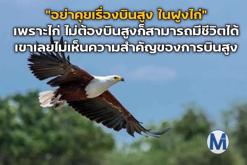 ฝันเห็นไก่เป็นฝูง เป็นเรื่องดีหรือไม่