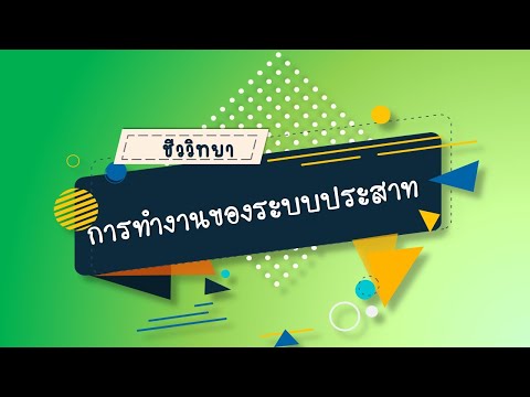 คุณควรตั้งครรภ์เดือนไหน? 2569 เรียกทรัพย์ ชีวิตดีมีเฮง